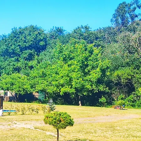 Casa Isabel, Refugio Con Vistas A La Naturaleza פונטה-ודרה