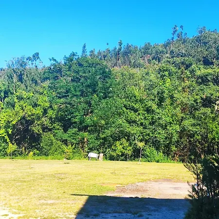Casa Isabel, Refugio Con Vistas A La Naturaleza בית נופש פונטה-ודרה